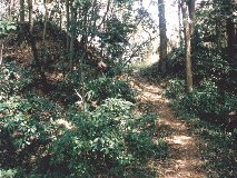 �k�s�̏���