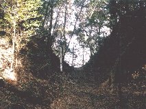 ���̔��ȗ� �؊�