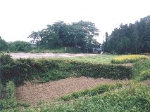 �O�̊ی@�ƘE��