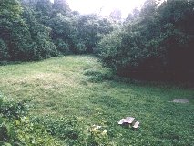 �����ȗ�