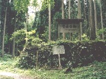 �L������