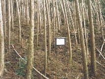 �k�� ���@