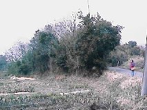 ��n��[�t��