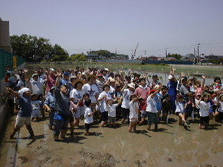taue1