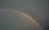 Bright Double Rainbows (with Crows)