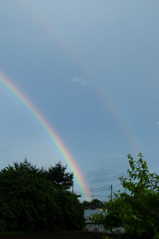 主虹と副虹