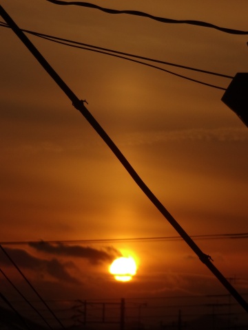 太陽柱