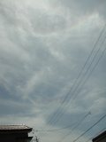 Another Circumhorizontal Arc and 22-degree Halo