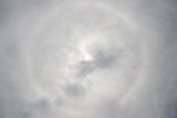 Circumscribed Halo