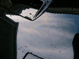 reflected on the Bonnet