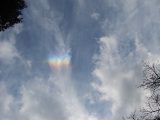 Bright Fragment of Circumzenithal Arc