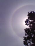 22-degree Halo