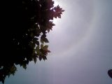 22-degree Halo