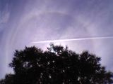 22-degree Halo and a Contrail