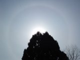 22-degree Halo