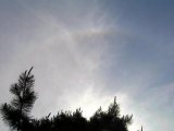 22-degree Halo