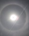 22-degree Halo and a vapor trail
