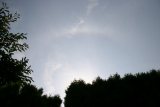 22-degree Halo (with a slight Upper Tangent Arc)
