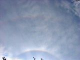 46-degree Halo