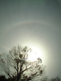 22-degree Halo, Circumscribed Halo, Parhelic Circle