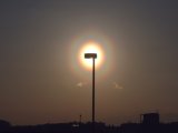 Pollen Corona