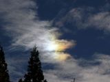 bright parhelion