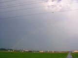 rainbow