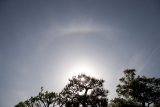 Upper Tangent Arc, Parhelion, 22-degree Halo