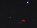 Star Cluster M41