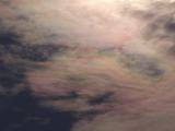 cloud iridescent in summer (2)