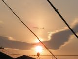 Faint Sun Pillar (along an antenna^^;)