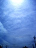 Circumhorizontal Arc and 22-degree Halo