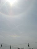 Circumhorizontal Arc and 22-degree Halo