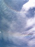 Circumhorizontal Arc and 22-degree Halo