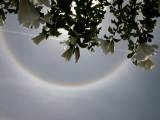 22-degree Halo