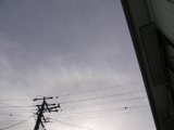 22-degree Halo