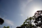 Parhelic Circle, Parhelion, 22-degree Halo