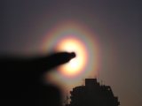 Pollen Corona at the Sunrise