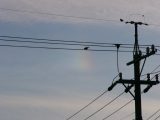 Left Parhelion with Birds