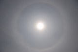 9-degree Halo? and 22-degree Halo