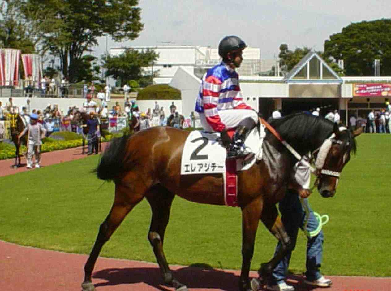 HORSE