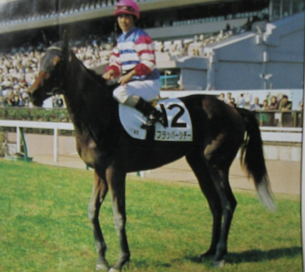 HORSE