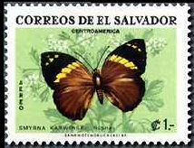 Scott:C253