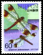Scott:1686