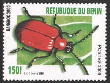 Michel:XVI