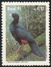 Scott:2536
