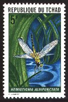 Scott:256