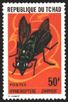 Scott:298