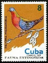 Scott:1916
