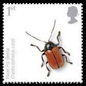 Scott:2568